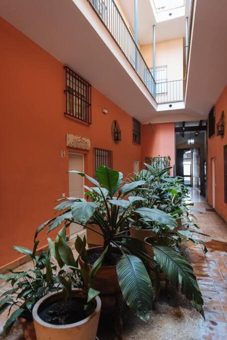 Selecta Elegante Y Centrico Apartamento Séville Extérieur photo
